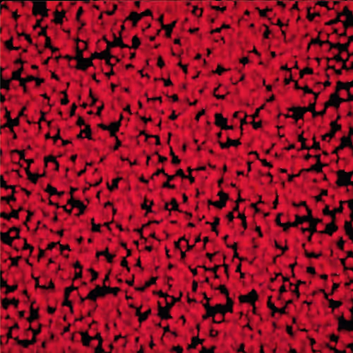 Item #10484220177787847593598212314025342284599195293512380793508438407021439483905 Media