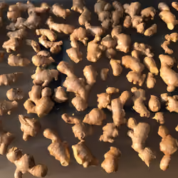 ginger a lot of ginger