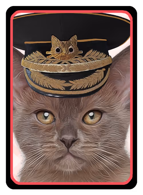 Item #64681592105974998997563651196983186043438714923393527507417484490406092603393 Media