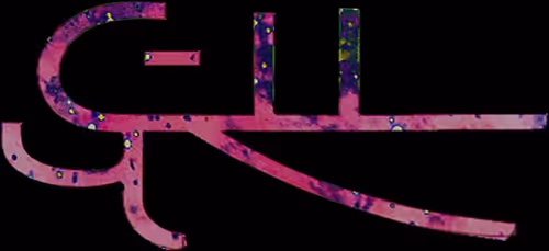 Item #25134024236616184979521667367921431367203659848766423059433089130545815749608 Media