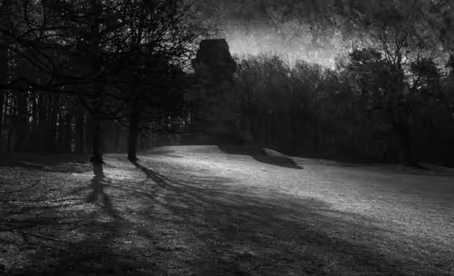 Item #40160686583094733528677484039903516258611509642019211679321071311035142504449 Media