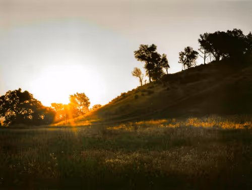 California Chronicles by Swickie (Vol 01)