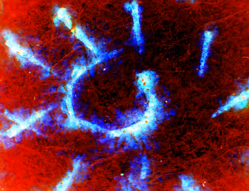 Item #71646257518770613568983710813551014237803002136866425209291834324261726584833 Media