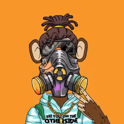 Monkey