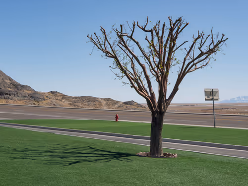 Item #77612435889549989959633814934000977317248207544468655990569008346706114248705 Media