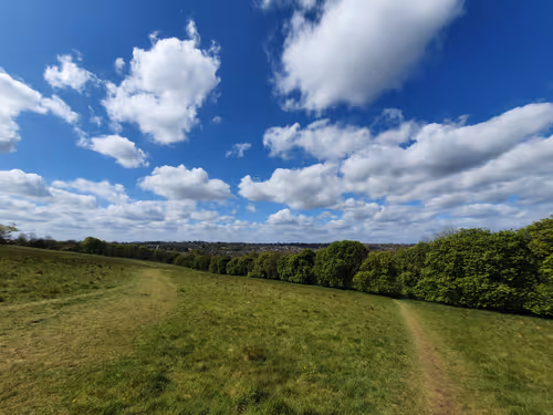 Item #52026421495237307124508671678768982950120800692193749930383155779107452616705 Media