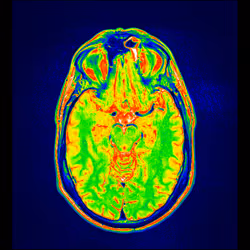 64162533542198579898252916190583583845604629893829087458582976316439040884737