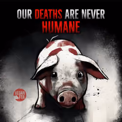 Go Vegan