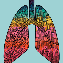 28824502245252267217549902857601847351510039266873569823091148467992644288513