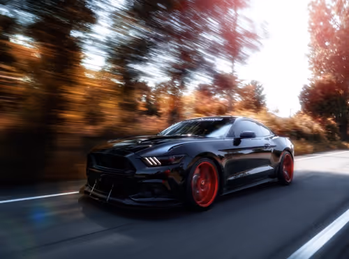 Item #96053277902027595697497379728807476066600151942289757947694745018312303837185 Media