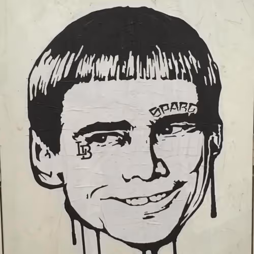 BarnnoMcBarnno Collection