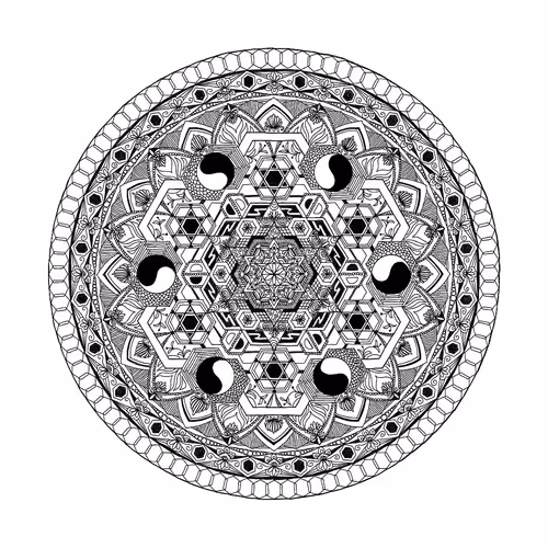 Item #56231055166534768819260761756004250554455450585187543117911899992505603588097 Media