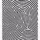 3799515490220879732882333409938015140683167415382329987461811134331078311937