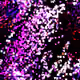 76248207592314154452719891284483833287518065447538868808964602671811597959169
