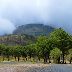 Parco nazionale del Vesuvio