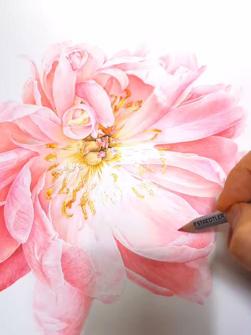 Item #113489034304621262780688231826605953110850630037048369512317058329386732748801 Media