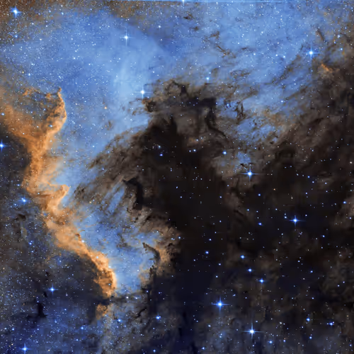 The Cygnus Wall