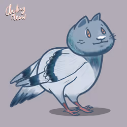 Meow's world /Meird #4