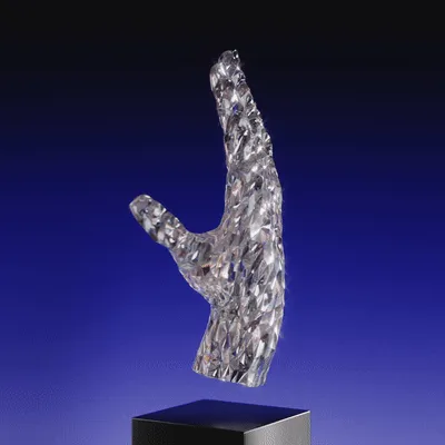 Item #88855529080328748096940421115520476592489370168639907145733578935581632626988 Media