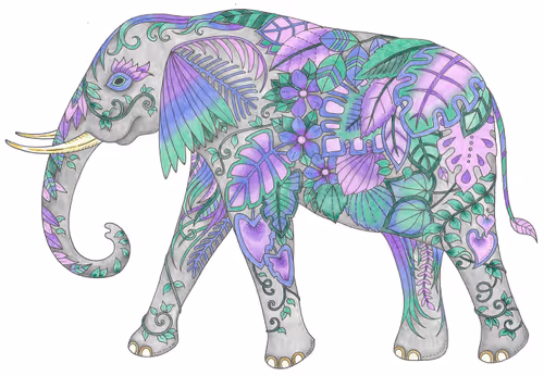 Item #65443488761358484378593551031444204219297866791629298848474929060900363042828 Media