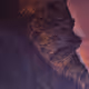 14220975714867650237642614097161445852443102840841483962809066908557542162433