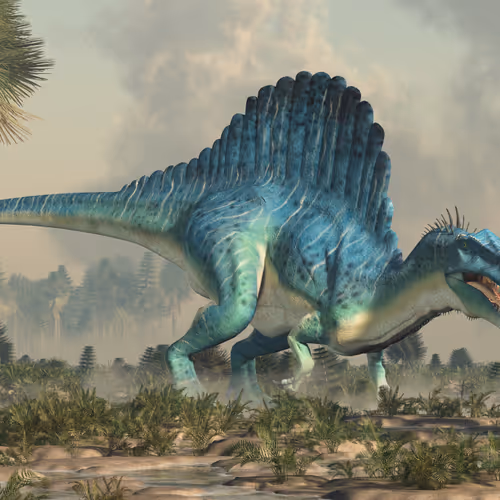 15201862250514145958676777466825728141953005429687029988591517071096821055489