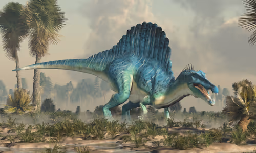 Item #15201862250514145958676777466825728141953005429687029988591517071096821055489 Media