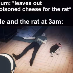 100877380078657672831141937300682673949994067612090361731607526948931117252609