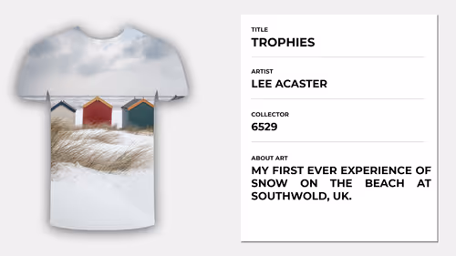 Item #74690416694188400251446321687364251373014292193718019564290561759964100034561 Media