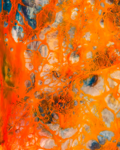 Item #29687457692452421683916759570224124960174280340362343155839281669559489134593 Media