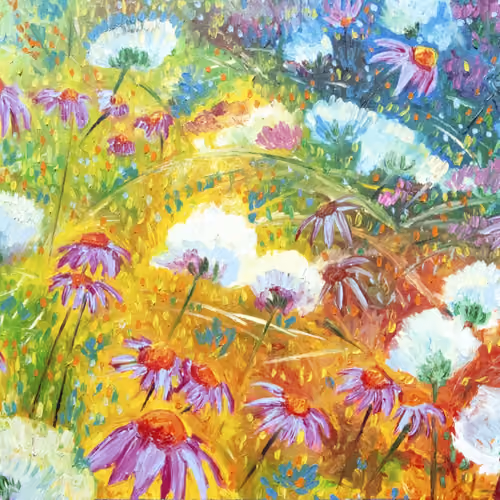 Echinacea Bloom