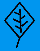 Blue Sky Blue Leaf