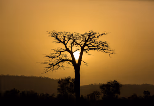 Item #58809729658004785625766705762406371743224030707088339904419797673713692835841 Media