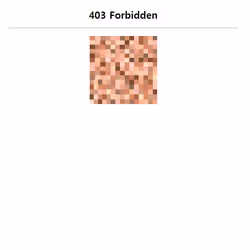 ERROR 403