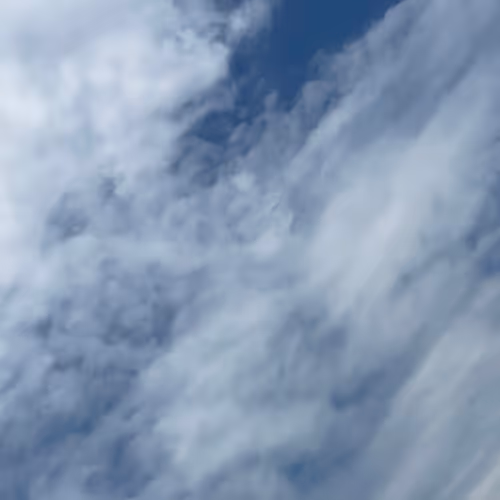 Untitled Collection #74158865