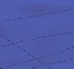 Escape 2/25