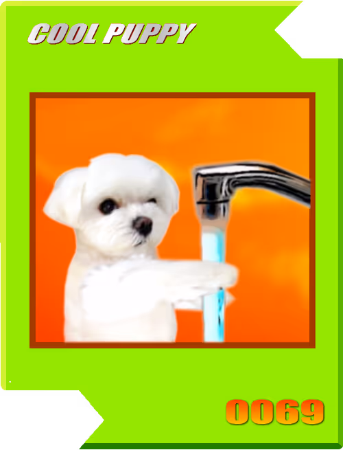 Item #21477548388787063266658748687199700189937005018840532589754440431602273091585 Media