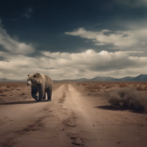 Item #71646257518770613568983710813551014237803002136866425209291834405625587040257 Media