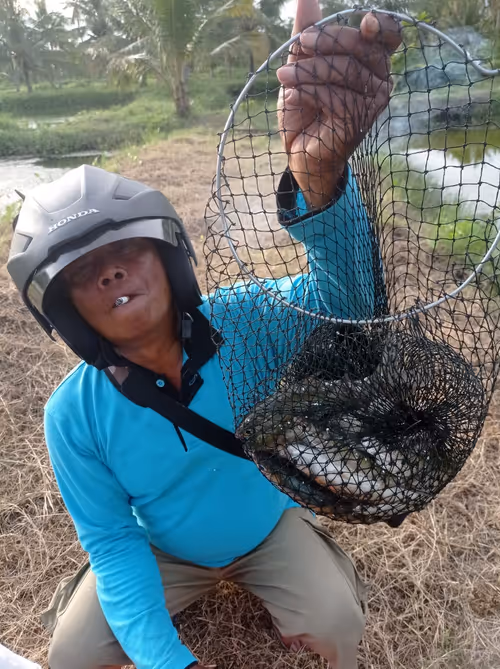 Item #44826150884077296559363660473953749542894240218261723772066533705189362237441 Media