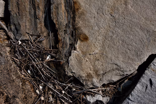 Item #68800123458035658143408460056219206378254568321398204671677934130152121303041 Media