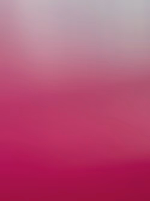 Item #34814088845477629227704468099299342434369579888194691644291829470709977972737 Media