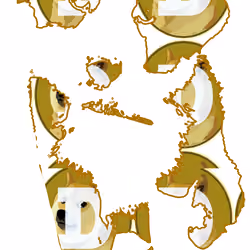 BabyCollie Doge