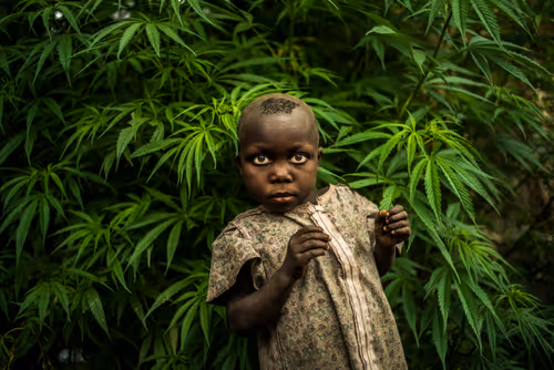 Item #28410794678939122859492626871196116087705428262137093470030241687750506971137 Media