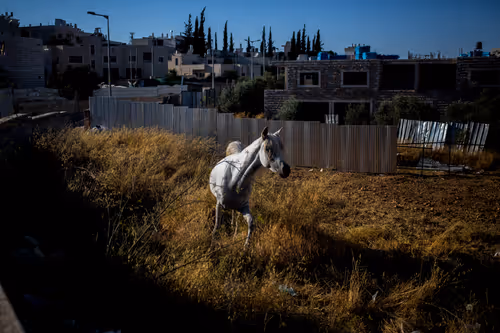 Item #96722404509651341404320943971918278257484839250108932769859130396251065942017 Media