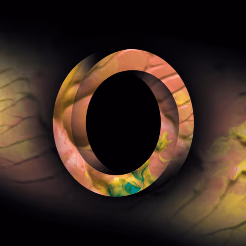 Item #98201273373582728657597294948654922674569436128027691090593585811802111868929 Media