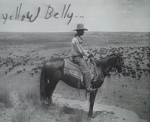 Item #35303694921040431838479833925121417641038164256471620520756411217832839217153 Media