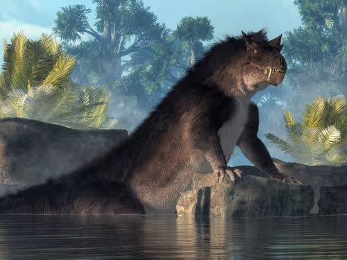 Item #15201862250514145958676777466825728141953005429687029988591517155759216394241 Media