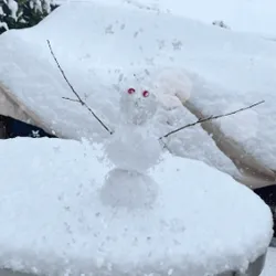 Paul, The Snowman