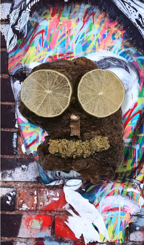 Item #100909502448086356706660368779487088653809768188601857193380373169380536614913 Media