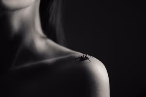 Item #98428321781240690923166413788572359424135882967629447034847431459373758545921 Media